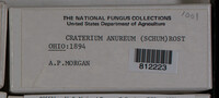 Craterium aureum image